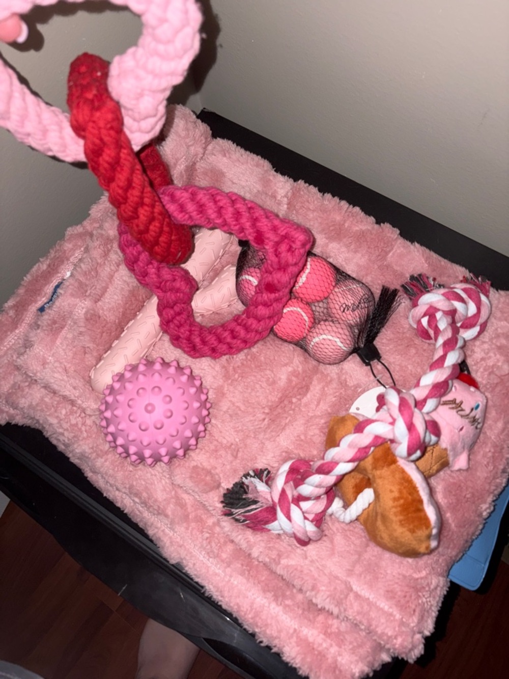 Dog toy bundle